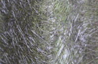 Coulby Newham fibreglass roof work